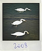 IMG_1740.jpg