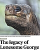 Lonesome_George.jpg