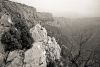 Provence-81-68sepia.jpg