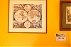 RX_f_82C0-600.jpg