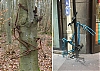 Velos_700.jpg