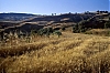 chypre153.jpg