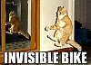 slide_243354_1343919_free~0.jpg