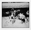 Balleroy_neige2810sur829.jpg