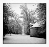Balleroy_neige285sur829.jpg
