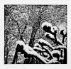 Balleroy_neige286sur829.jpg
