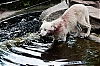 Berlin_Couleurs-21.jpg