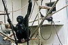 Berlin_Couleurs-23.jpg