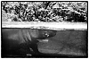 Berlin_NB-4.jpg