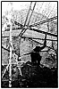 Berlin_NB-5.jpg