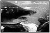 Berlin_NB-8.jpg