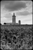 Bretagne2010-34.jpg