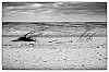 DSCF0181-Modifier.jpg