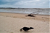 DSCF0182.jpg