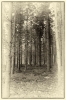 L1010387-Modifier.jpg