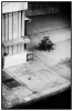 L1010427-Modifier.jpg