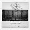 Neige281sur329.jpg