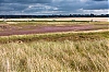 Petit-4142.jpg