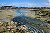 _DSF1267.jpg
