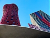 _DSF3835.jpg