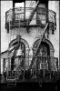 _MG_1342-Modifier.jpg
