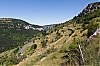 _MG_3858.jpg