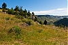 _MG_3860.jpg