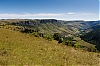 _MG_3862.jpg