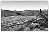 _MG_3882-Modifier-1.jpg