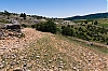 _MG_3915.jpg