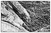 _MG_3992-Modifier.jpg