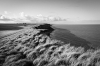 _MG_8136.jpg