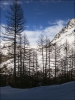 ALaNeige07.jpg