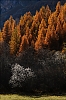 Automne2011-03.jpg