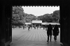 CadreMeijiJingu2.jpg