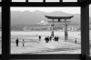 CadreMiyajima.jpg