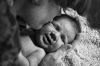 Calin03.jpg