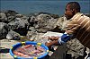 CapVert-poissons-03.jpg