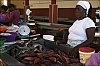 CapVert-poissons-05.jpg
