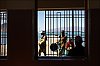 CapVert-poissons-07.jpg