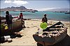 CapVert-poissons-09.jpg