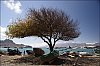 CapVert-poissons-10.jpg