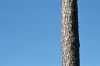 CeciNEstPasUnPhare.jpg