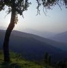 Corse01.jpg