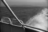 Embarquement4.jpg