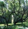 Gat-Jardin.jpg
