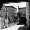 Grillon01.jpg