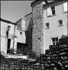 Grillon02.jpg