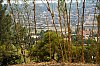 Kigali01.jpg