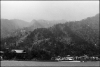 Miyajima.jpg